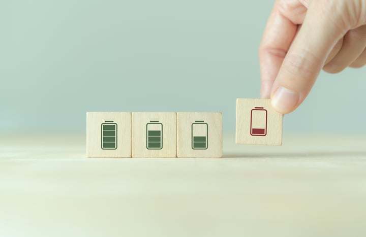 Managing Your Energy to Lead Sustainably with Shubhayan Sanatani